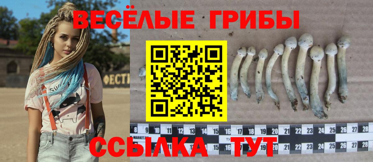 Псилоцибиновые грибы MAGIC MUSHROOMS Строитель